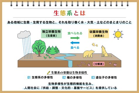 水重要性|水環境および淡水生態系の保全について